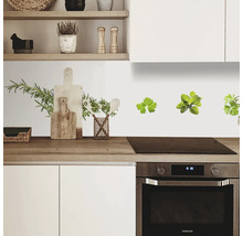 Scenă de bucătărie cu decorațiuni de perete cu plante aromatice