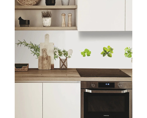 Scenă de bucătărie cu decorațiuni de perete cu plante aromatice