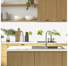 Scenă de bucătărie cu motive de plante aromatice pe perete