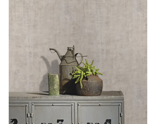 Natură statică decorativă cu stropitoare, plantă și dulap metalic