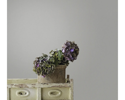 Hortensii într-un vas pe o poliță mică