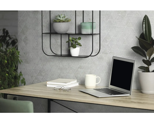 Birou cu laptop, plante și decor