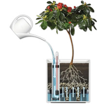 Ilustrație a unui sistem de irigare pentru plante cu stropitoare și indicator de nivel al apei