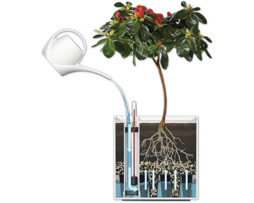 Ilustrație a unui sistem de irigare pentru plante cu stropitoare și indicator de nivel al apei