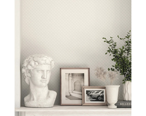 Perete decorativ cu model grilaj, bust, imagini înrămate și plantă de interior