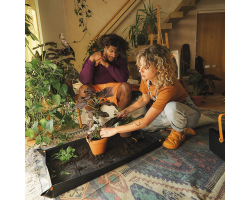 Doi oameni plantează o plantă într-un ghiveci pe o folie de protecție pentru plante la interior.