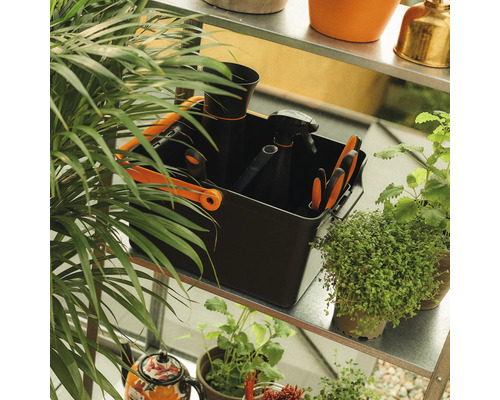 Unelte de grădinărit și plante pe un raft