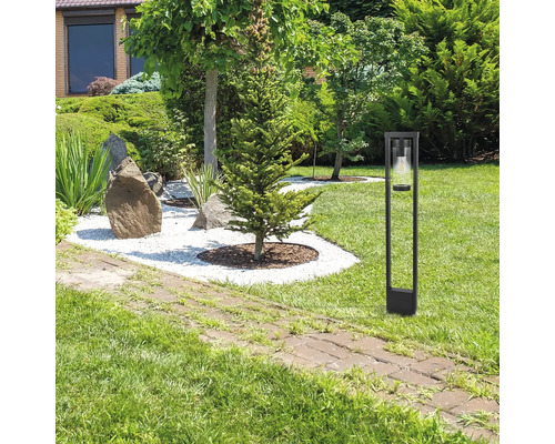 Peisaj de grădină cu gazon, copac și iluminat pentru căi