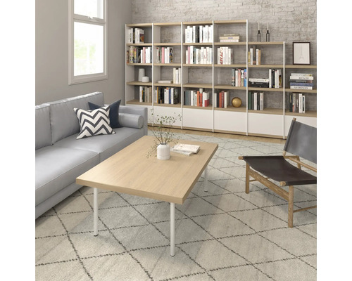 Cameră de zi cu canapea, măsuță de cafea, raft și fotoliu pe un covor cu model