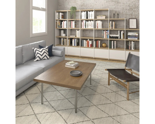 Cameră de zi cu canapea, măsuță de cafea, bibliotecă și covor