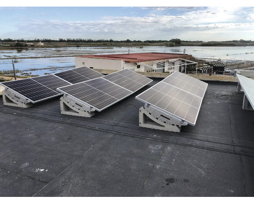 Panouri solare montate pe un acoperiș pentru producerea de energie.
