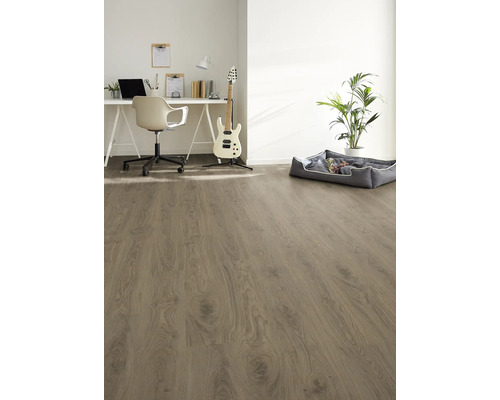 Cameră luminoasă cu podea laminată, birou, scaun, chitară, plantă de interior și pat pentru câini