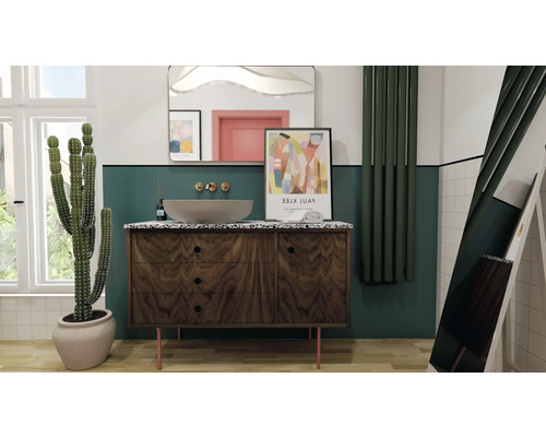 Baie cu dulap de lavoar, oglindă, radiator și cactus