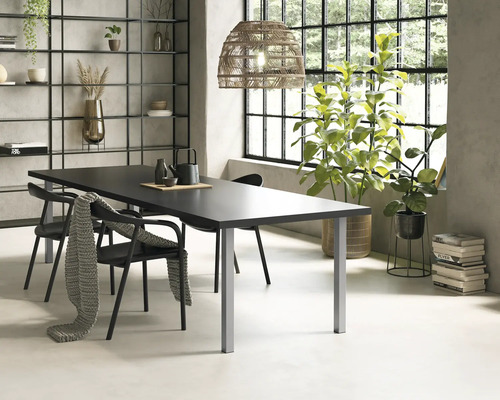 Sufragerie cu masă, scaune, raft și plante de interior într-o cameră luminoasă.