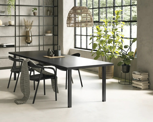 Sală de mese cu masă, scaune, raft și plante de interior.