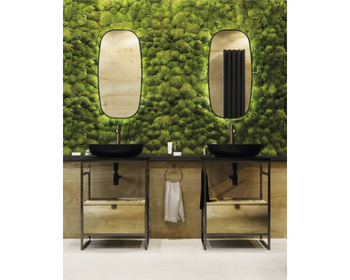 Baie cu două lavoare, chiuvete negre așezate, oglinzi și perete cu mușchi
