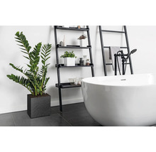 Baie cu cadă freestanding, raft scară și plantă de apartament