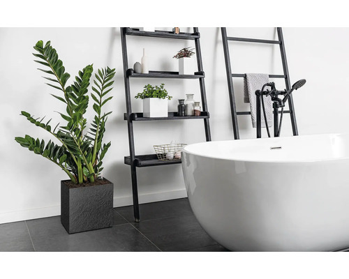 Baie cu cadă freestanding, raft scară și plantă de apartament