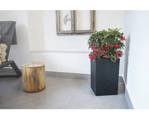 Scenă de interior cu o plantă într-un ghiveci negru, paralelipipedic, lângă un taburet din trunchi de copac.