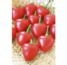 Ardei iuți cireșe roșii într-un coș