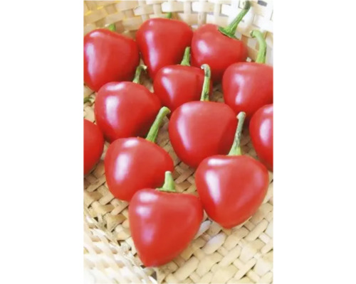 Ardei iuți cireșe roșii într-un coș