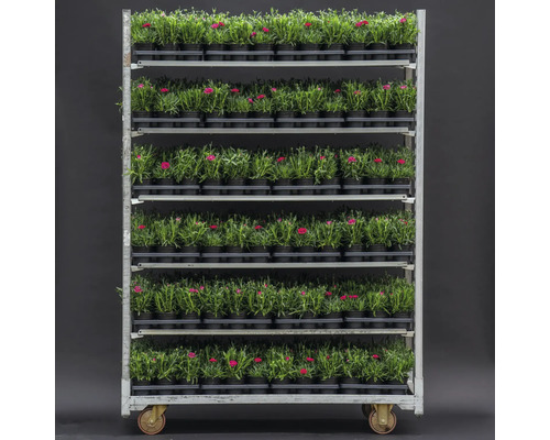 Cărucior cu flori cu plante în ghivece