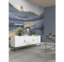 Fototapet vlies PSH104-VD4 Elephant Skin 400x250 cm