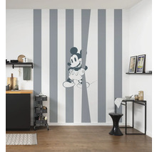 Fototapet vlies 060-DVD2 Into Wonderland Mickey Offbeat 200x250 cm