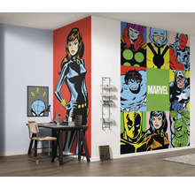 Fototapet vlies DX2-150 Into Wonderland Marvel PowerUp 100x250 cm