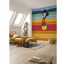 Fototapet vlies DX6-162 Into Wonderland Mickey Magic Rainbow 300x250 cm