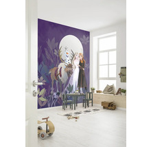 Fototapet vlies IADX4-092 Into Wonderland Frozen Full 200x250 cm