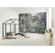 Fototapet vlies IAX8-0063 Into Wonderland Wood Wide Web 400x280 cm