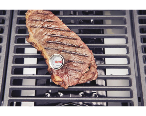 Friptură la grătar cu termometru pentru carne pe un grătar