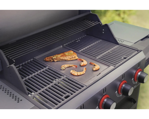 Grătar cu pește și creveți pe plită