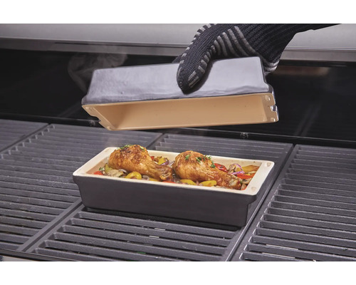 Grătar cu tavă de friptură și pulpe de pui