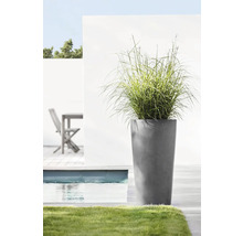 Ghiveci Ecopots Amsterdam plastic Ø 47 cm H 91 cm gri