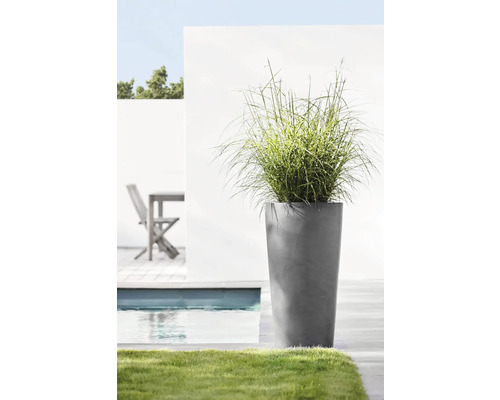 Plantă înaltă în jardinieră gri lângă piscină și gazon