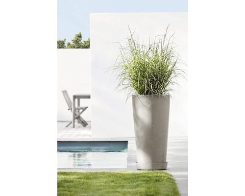 Jardinieră înaltă cu iarbă ornamentală în scenă de grădină