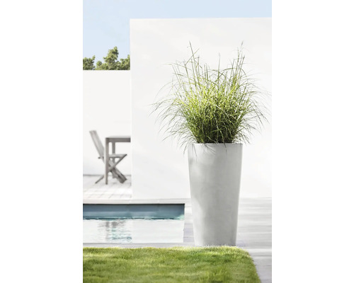 Jardiniere înaltă cu iarbă ornamentală lângă o piscină în grădină