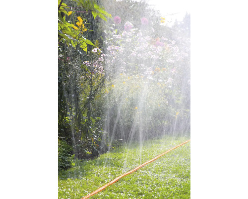 Udarea unei grădini cu gazon și flori cu un furtun de grădină