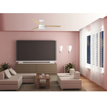 Cameră de zi cu ventilator de tavan, canapea, masă, televizor și ferestre