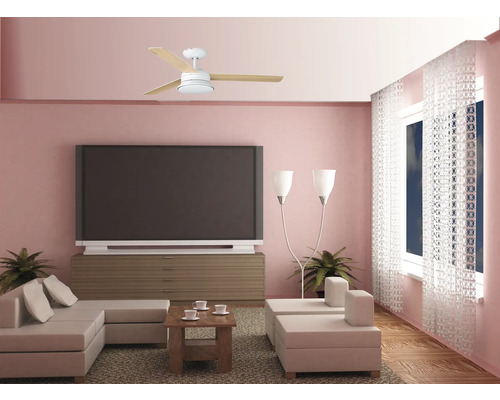 Cameră de zi cu ventilator de tavan, canapea, masă, televizor și ferestre