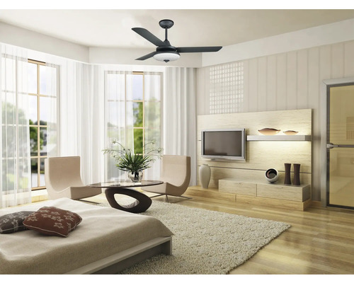 Cameră de zi luminoasă cu ventilator de tavan, televizor și zonă de relaxare