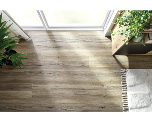 Cameră luminoasă cu podea din lemn, plante de interior și covor