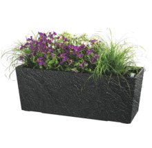 Jardinieră dreptunghiulară cu flori violet și albe