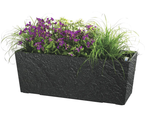 Jardinieră dreptunghiulară cu flori violet și albe