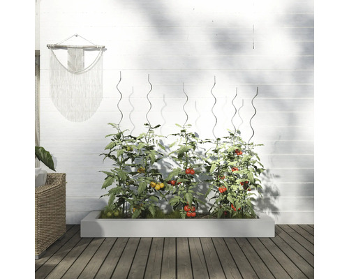 Jardinieră înălțată cu plante de roșii și suporturi de cățărare în fața unui perete alb