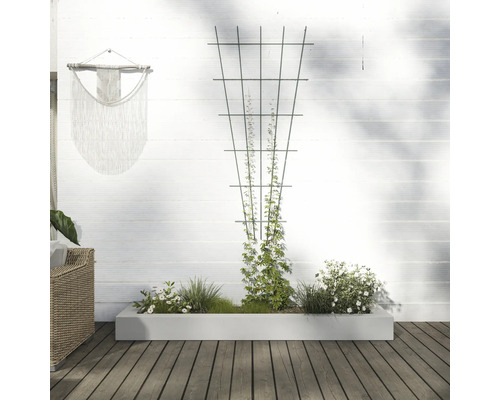 Scenă cu jardinieră, suport de cățărare și decorațiuni pe un perete alb