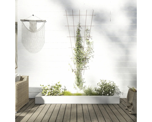 Spațiu exterior cu spalier, jardinieră și decorațiuni pe perete