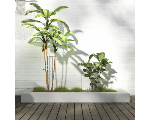 Scenă cu plante în jardiniere în aer liber